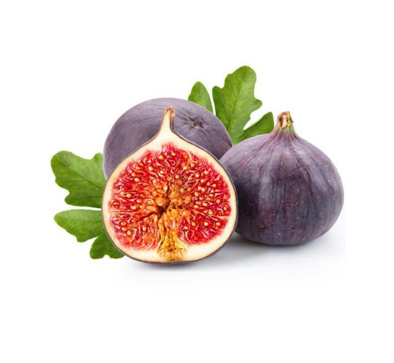 Fig Liquid Extract (Water Based)