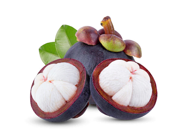 Garcinia Mangosteen Liquid Extract (Glycerine Based)