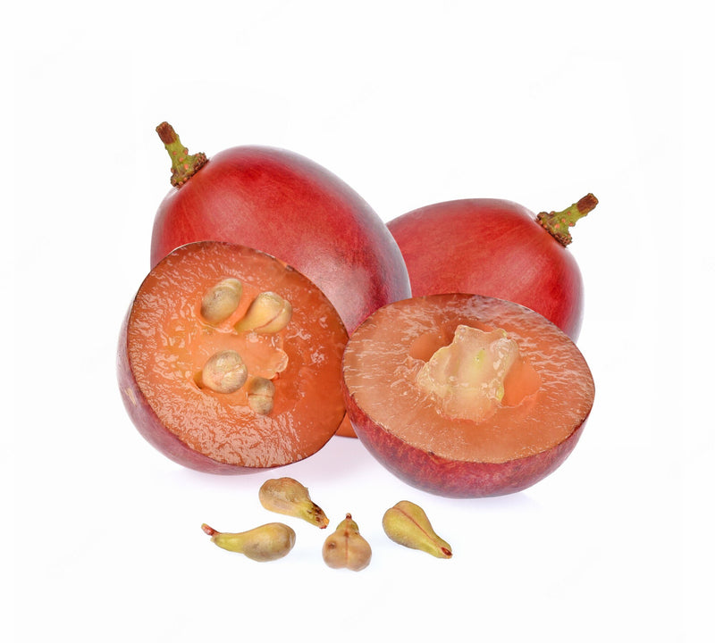 Grape Seed Liquid Extract (Glycerine Based)