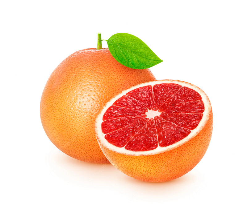 Grapefruit Seed Liquid Extract (Glycerine Based)