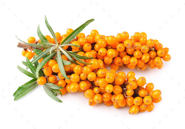 Seabuckthorn Powder