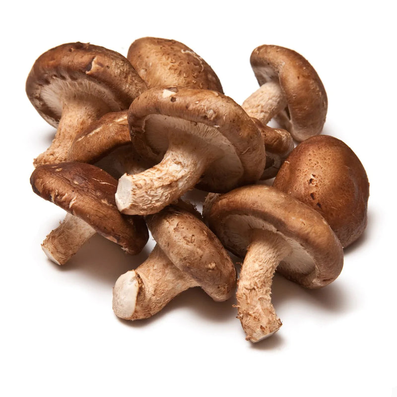 Shiitake Mushroom Powder
