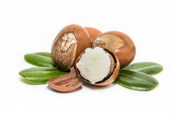 Shea Oil Ester